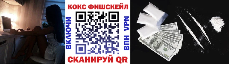 где можно купить   Касли  COCAIN VHQ 