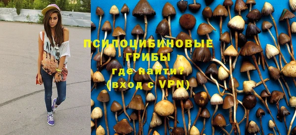 стаф Абдулино