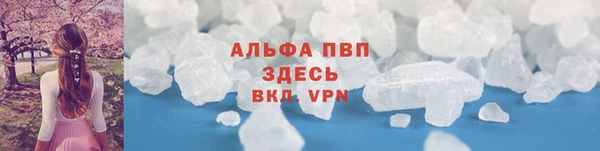 прущие грибы Абинск