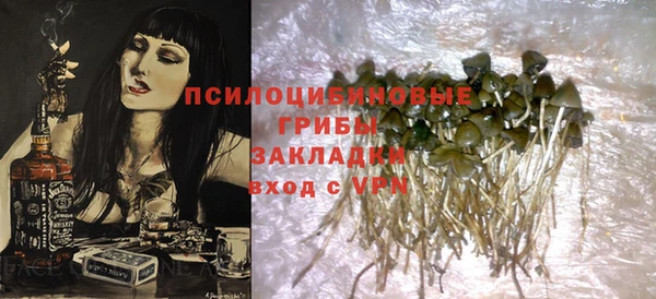 стаф Абдулино