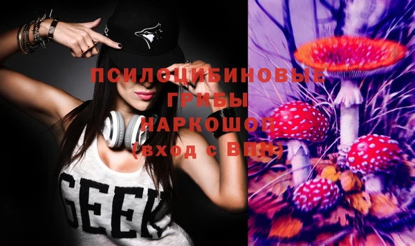 стаф Абдулино