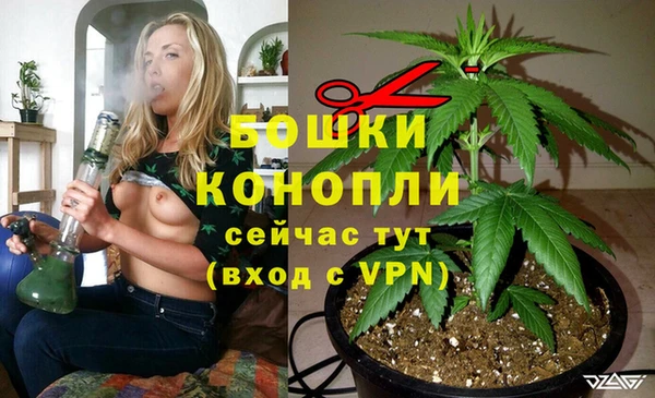 мяу мяу мука Абаза