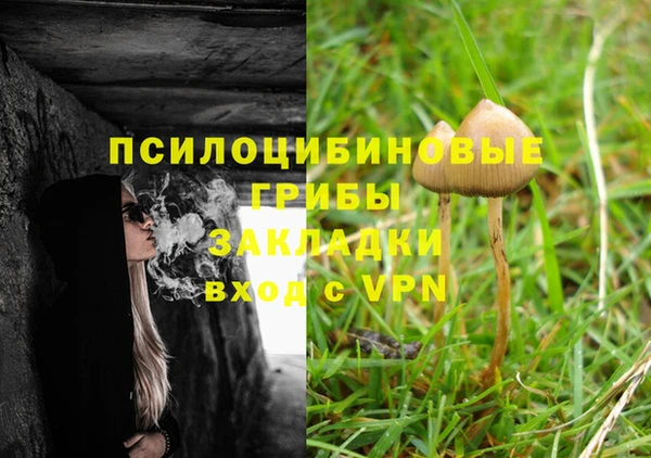 мяу мяу мука Абаза