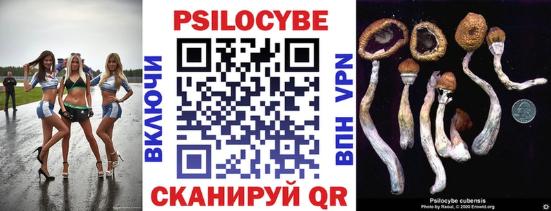 Псилоцибиновые грибы мухоморы  магазин  наркотиков  Касли 